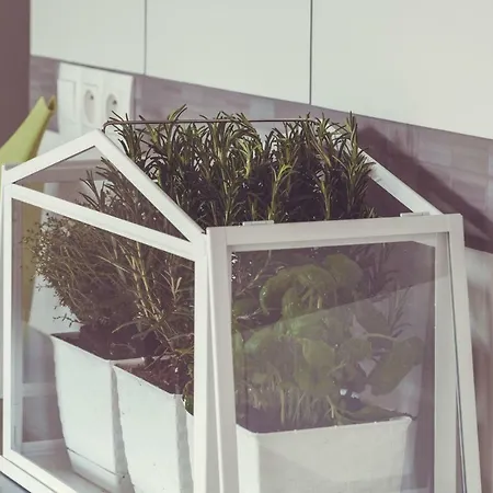 Green House - Stayinwroclaw *